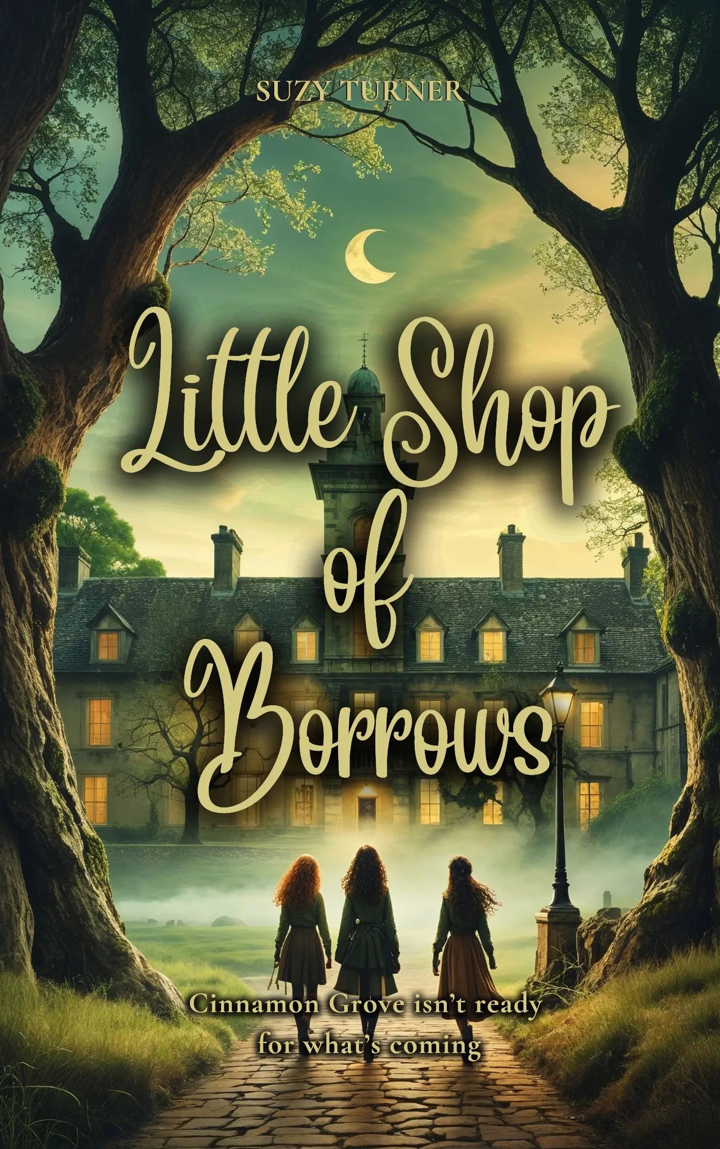 The Little Shop of Borrows